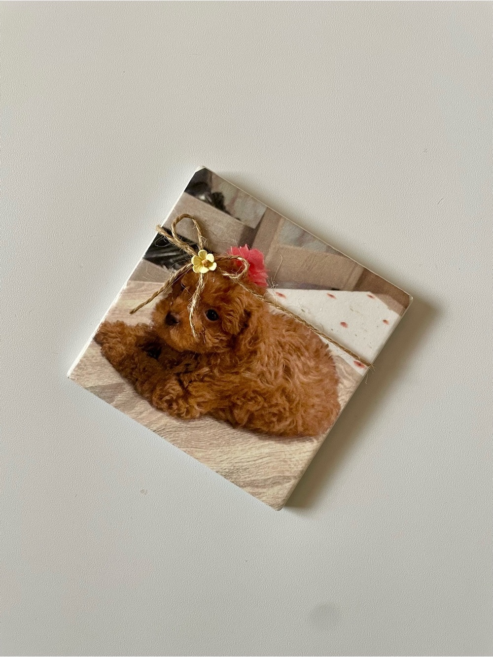 Personalized Coasters Puppy 🐶 
Made to Order